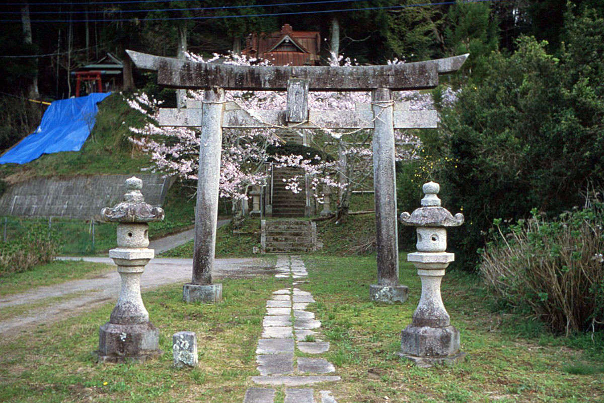 M2とFUJINON 3.5cm f2にリバーサルフィルムで撮ってきた - カメラが