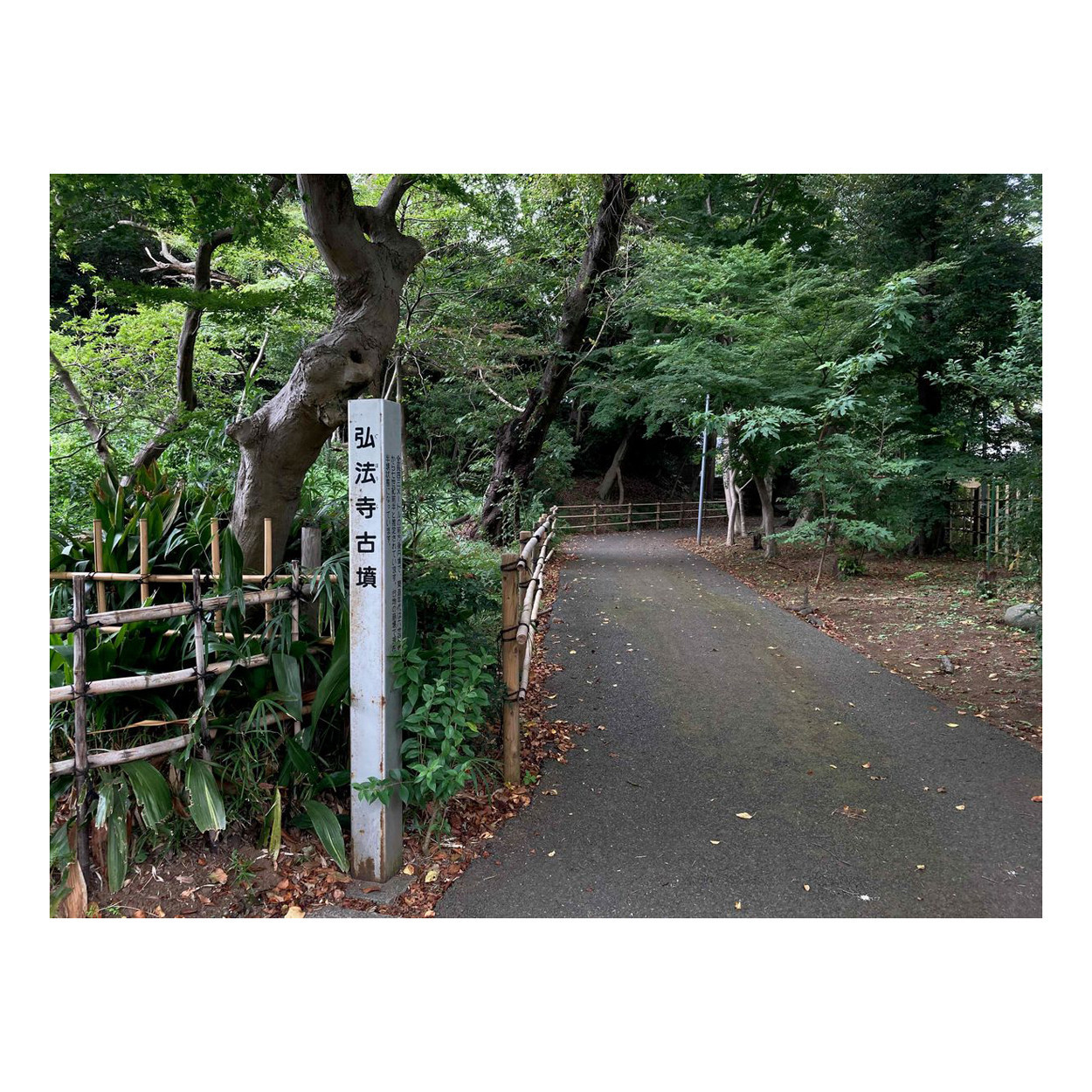 バルナックライカDIIIと旧Elmar 5cm f3.5にモノクロフィルムで