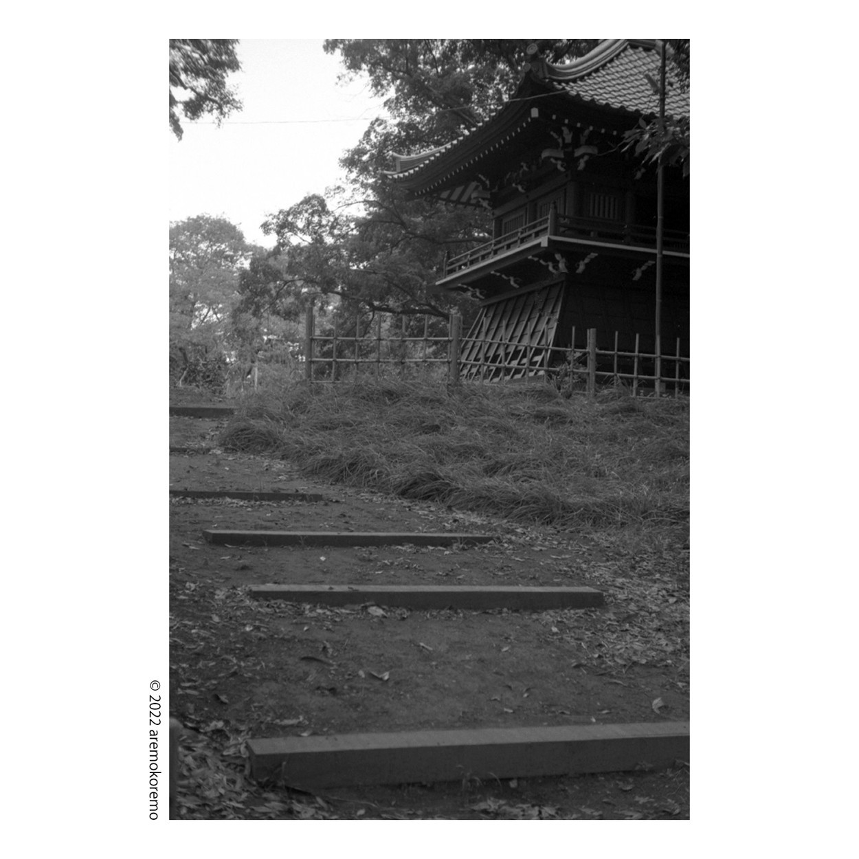 バルナックライカDIIIと旧Elmar 5cm f3.5にモノクロフィルムで