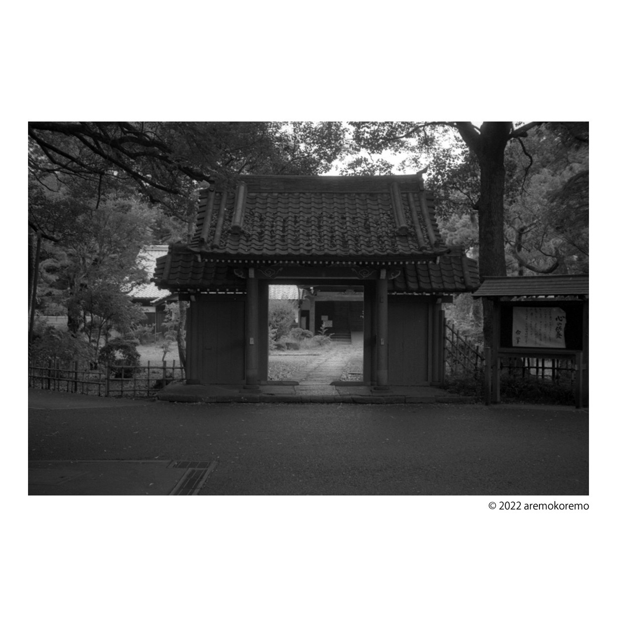 貴重カメラ☆IHAGEE パルヴォラ 1931 - 1939 初期生産モデル