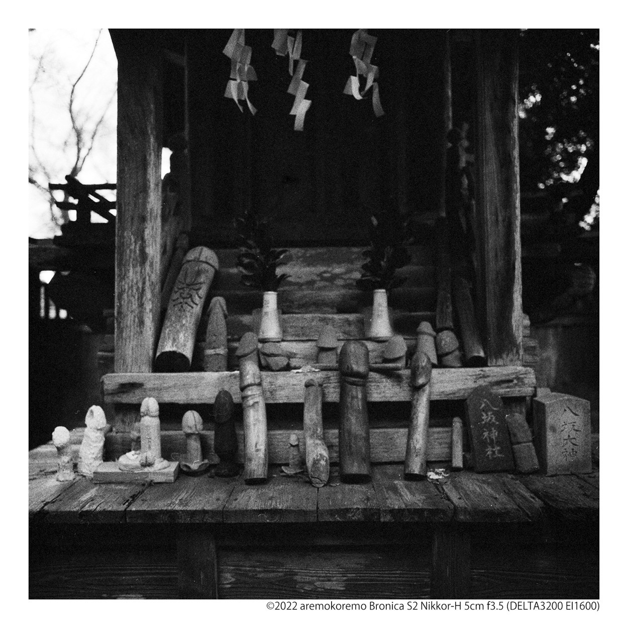 Bronica S2とNikkor-H 5cm f3.5にモノクロフィルムで匝瑳市の八坂神社