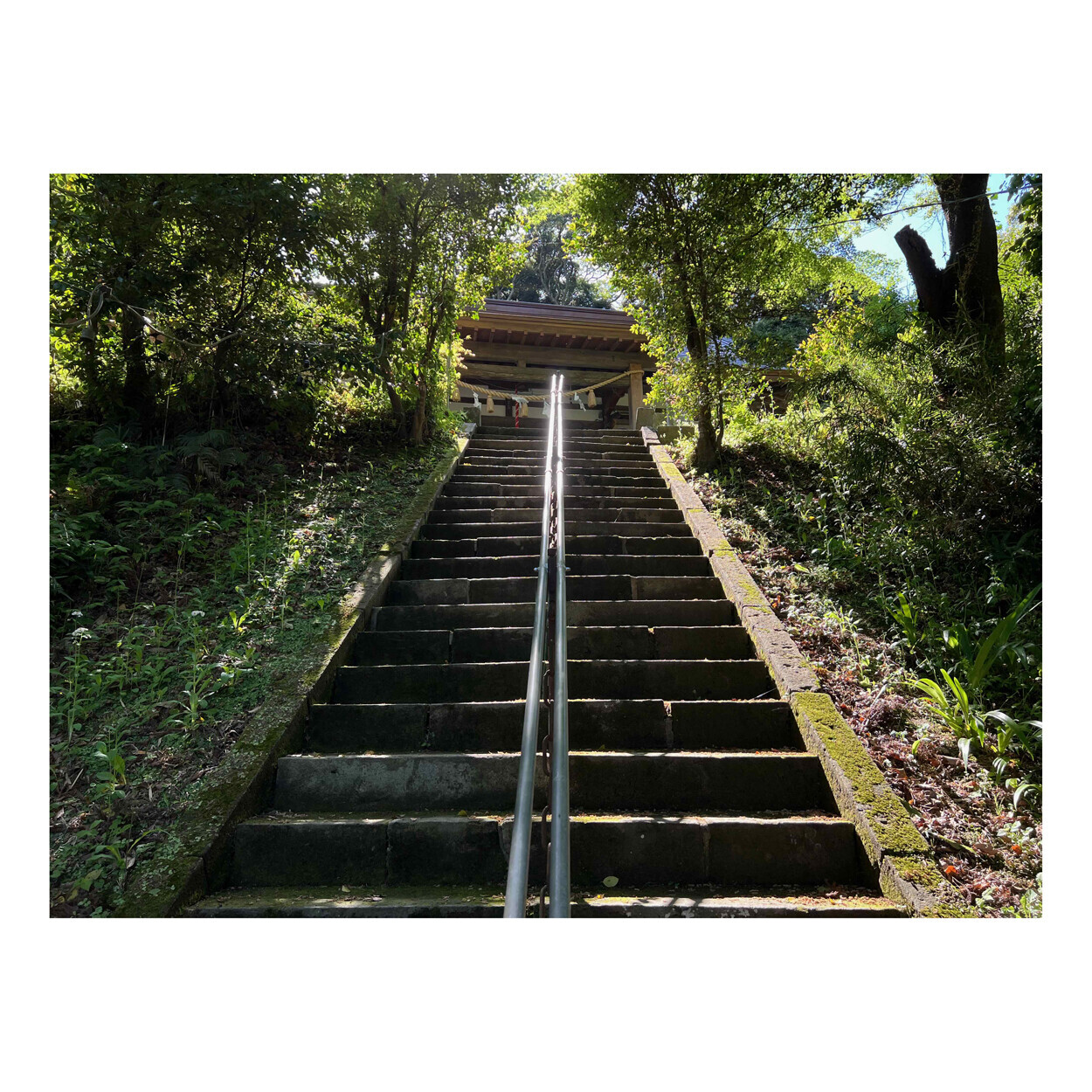 大網白里市の宮谷（みやざく）八幡神社へ行ってきた - カメラが欲しい
