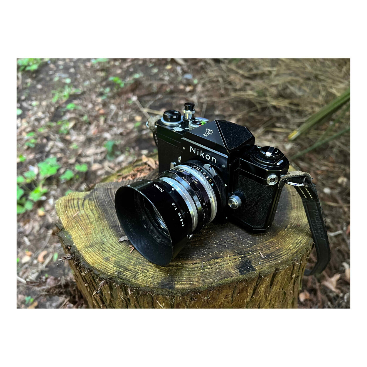 NIKON FとNIKKOR-S AUTO 5cm f2にモノクロフィルムで山武市を
