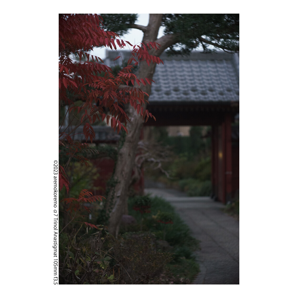 α7とTRINOL ANASTIGMAT 105mm f3.5で撮ってきた - カメラが欲しい