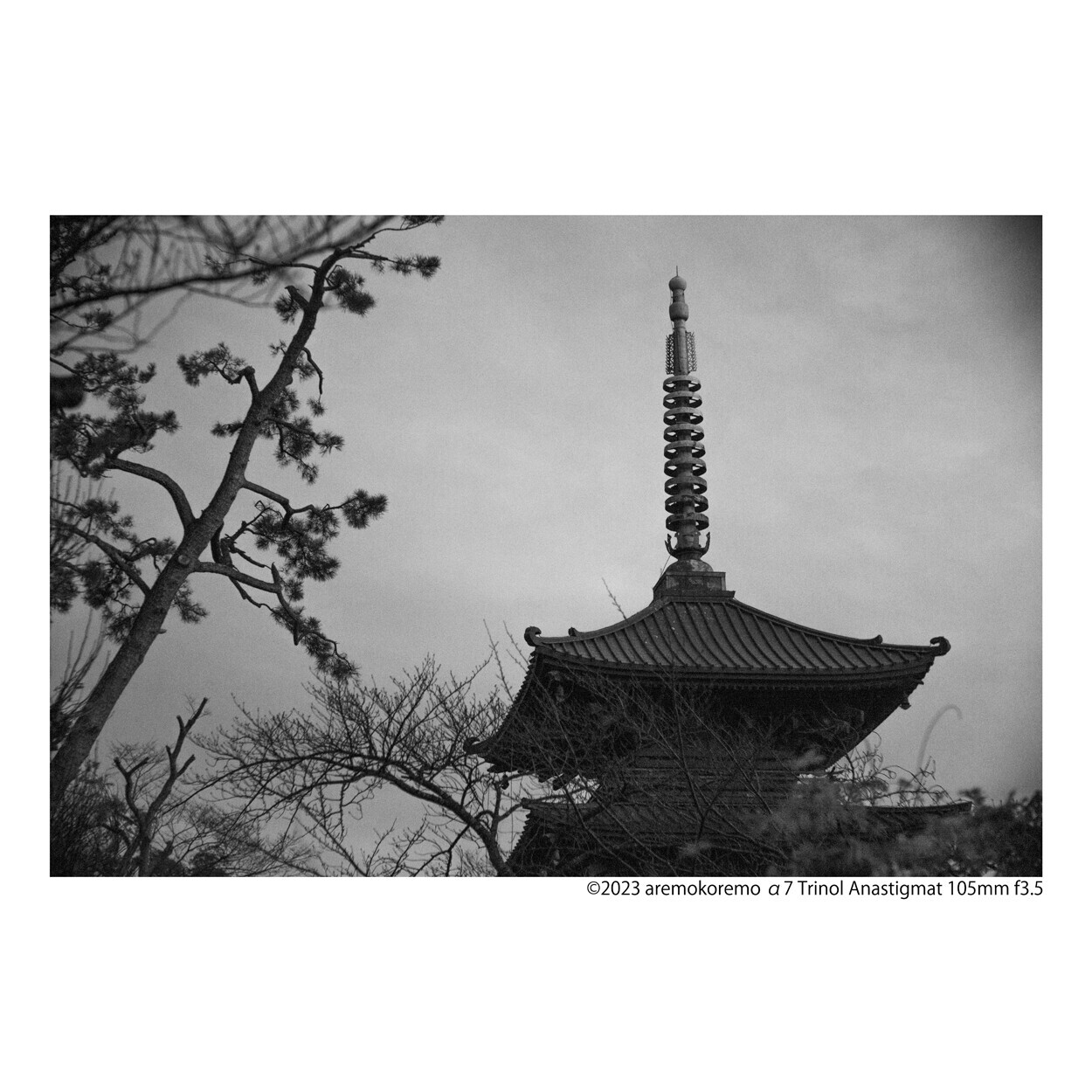 α7とTRINOL ANASTIGMAT 105mm f3.5で撮ってきた - カメラが欲しい