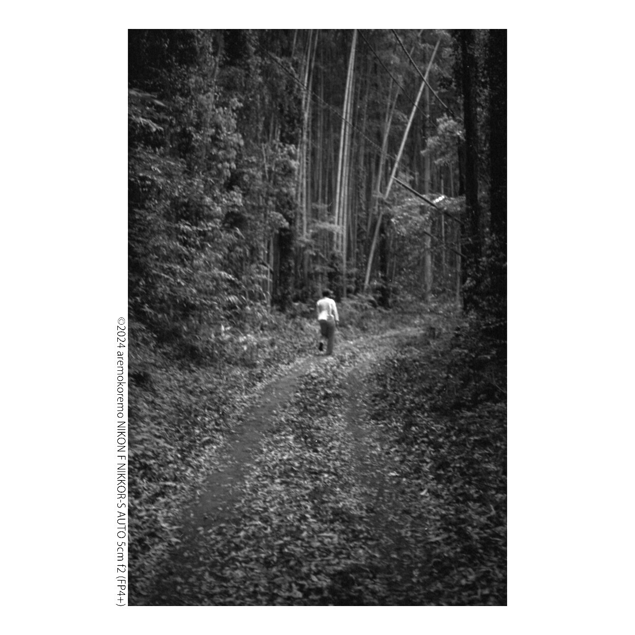 NIKON FとNIKKOR-S AUTO 5cm f2にモノクロフィルムで印西市を撮ってき