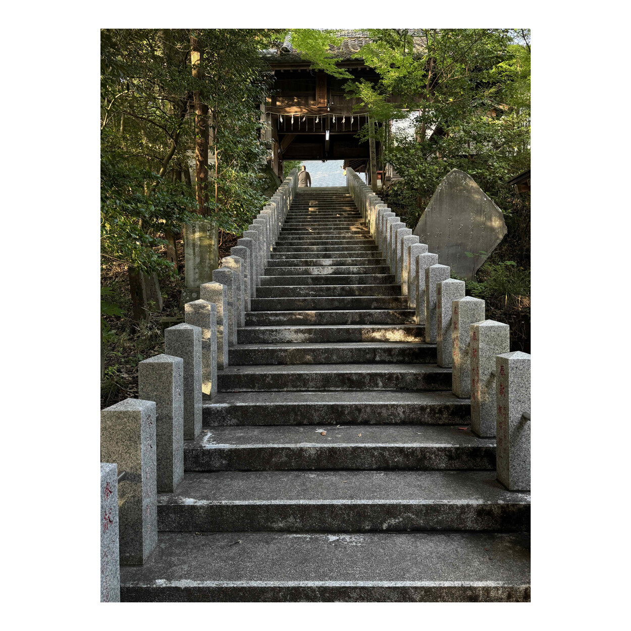 M10-PとFUJINON 3.5cm f2を持って安食の大鷲神社（魂生大明神）へ