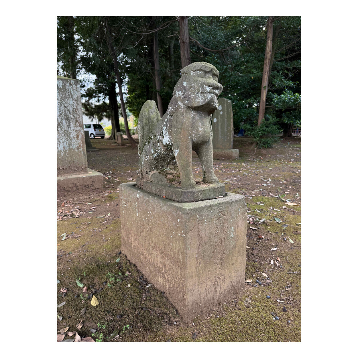 M10-PとSummar 5cm f2を持って柏市の香取神社とかわうその碑を見てきた