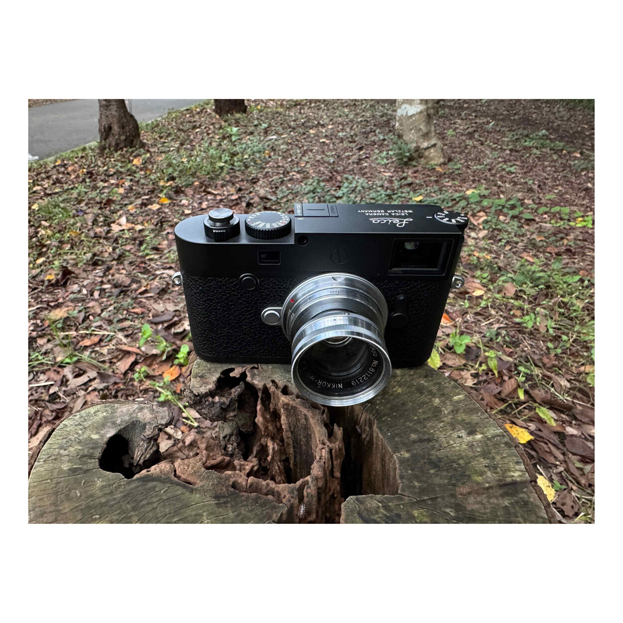 M10-Pと沈胴NIKKOR H.C 5cm f2で千葉ポートタワーを撮ってきた M10-Pと沈胴NIKKOR H.C 5cm f2で千葉ポートタワーを撮ってきた
