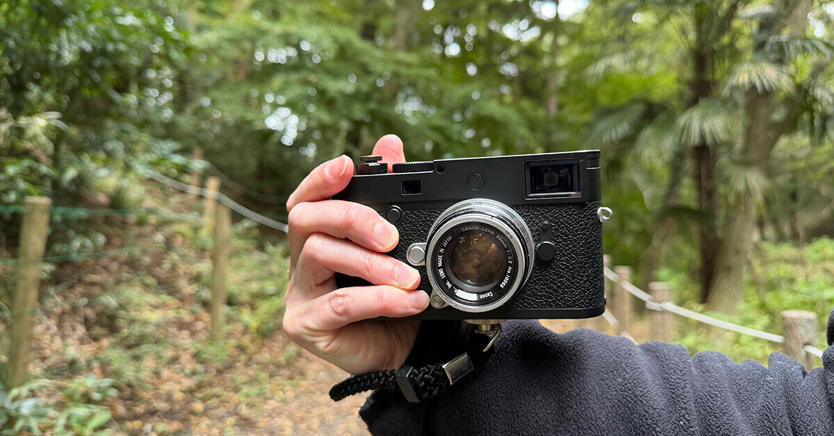 M10-PとCANON LENS 50mm f2.2で市川市の大町公園（観賞植物園）を撮っ