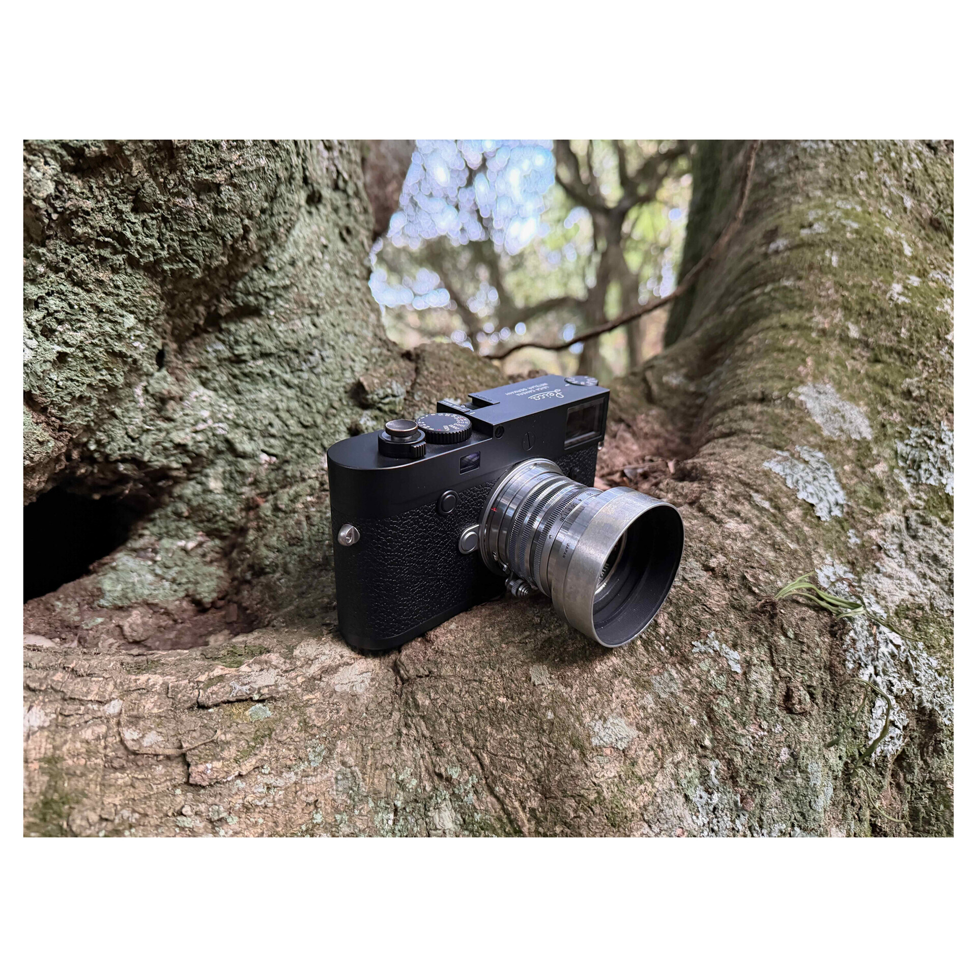 M10-PとNIKKOR S.C 5cm f1.4で大多喜の浅間神社を撮ってきた - カメラ