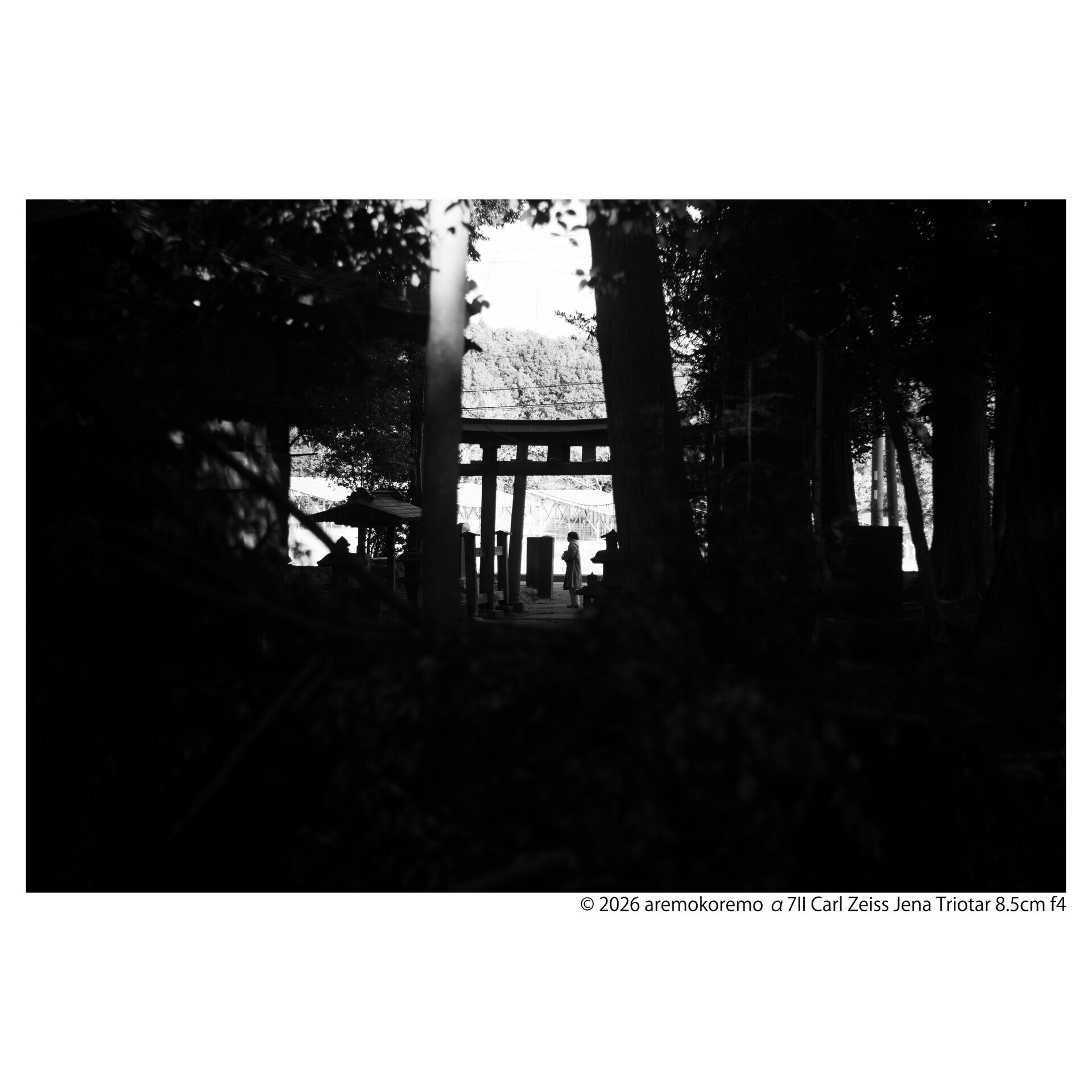 α7IIとCarl Zeiss Jena Triotar 8.5cm f4で印西市の神社を撮ってきた