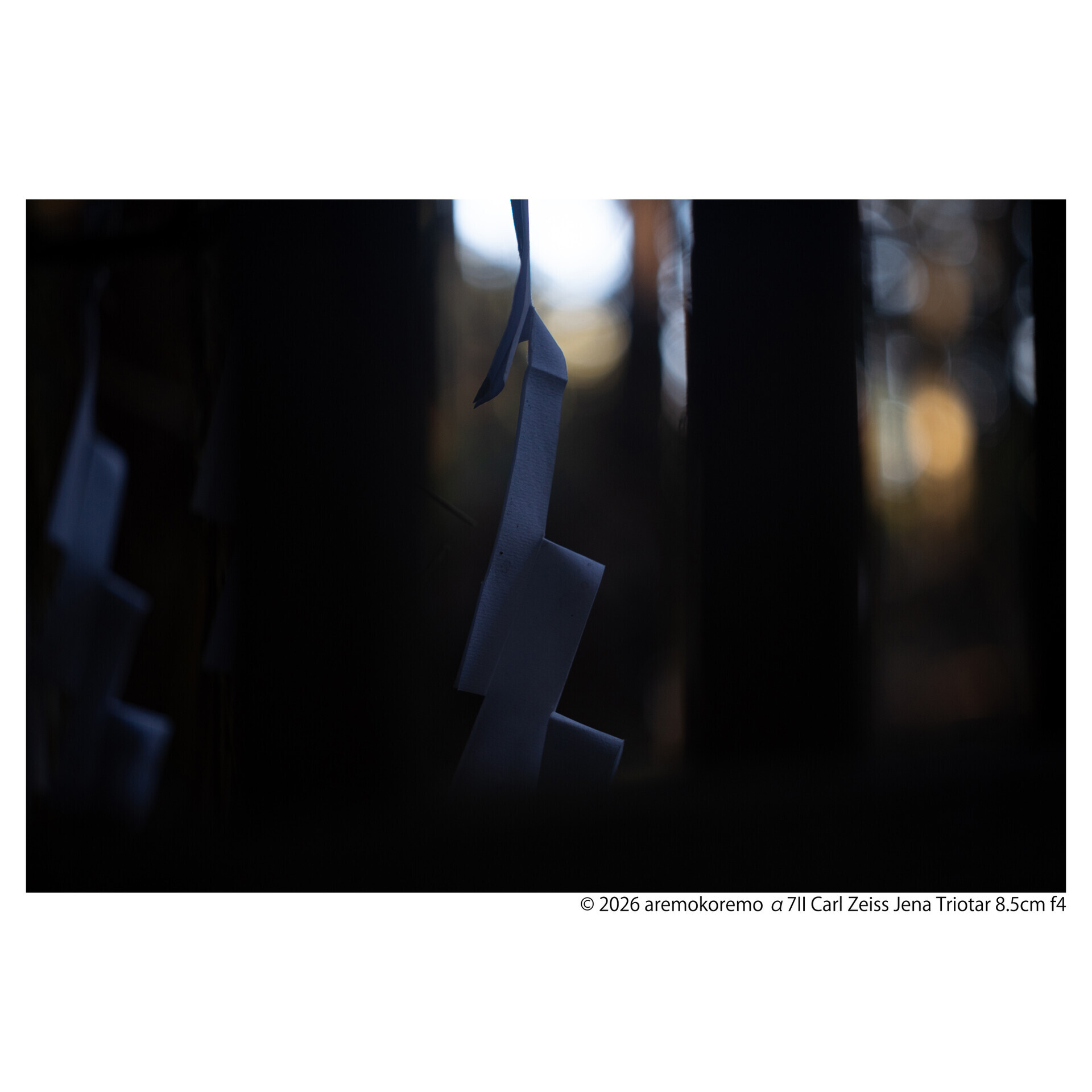 α7IIとCarl Zeiss Jena Triotar 8.5cm f4で印西市の神社を撮ってきた