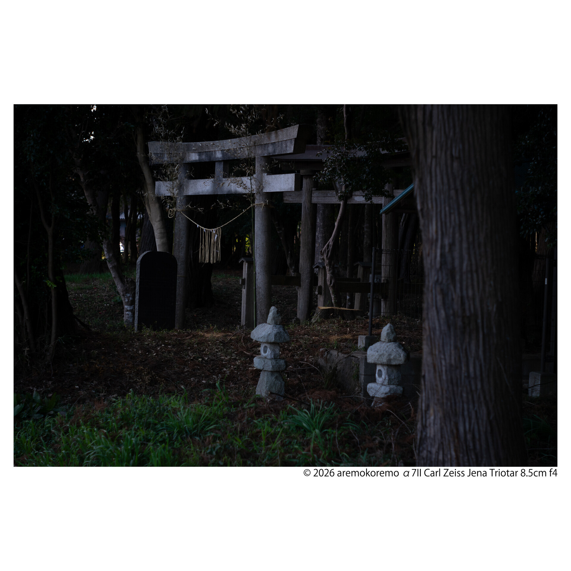 α7IIとCarl Zeiss Jena Triotar 8.5cm f4で印西市の神社を撮ってきた