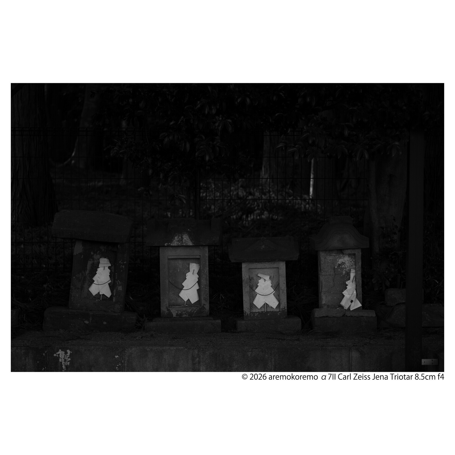 α7IIとCarl Zeiss Jena Triotar 8.5cm f4で印西市の神社を撮ってきた