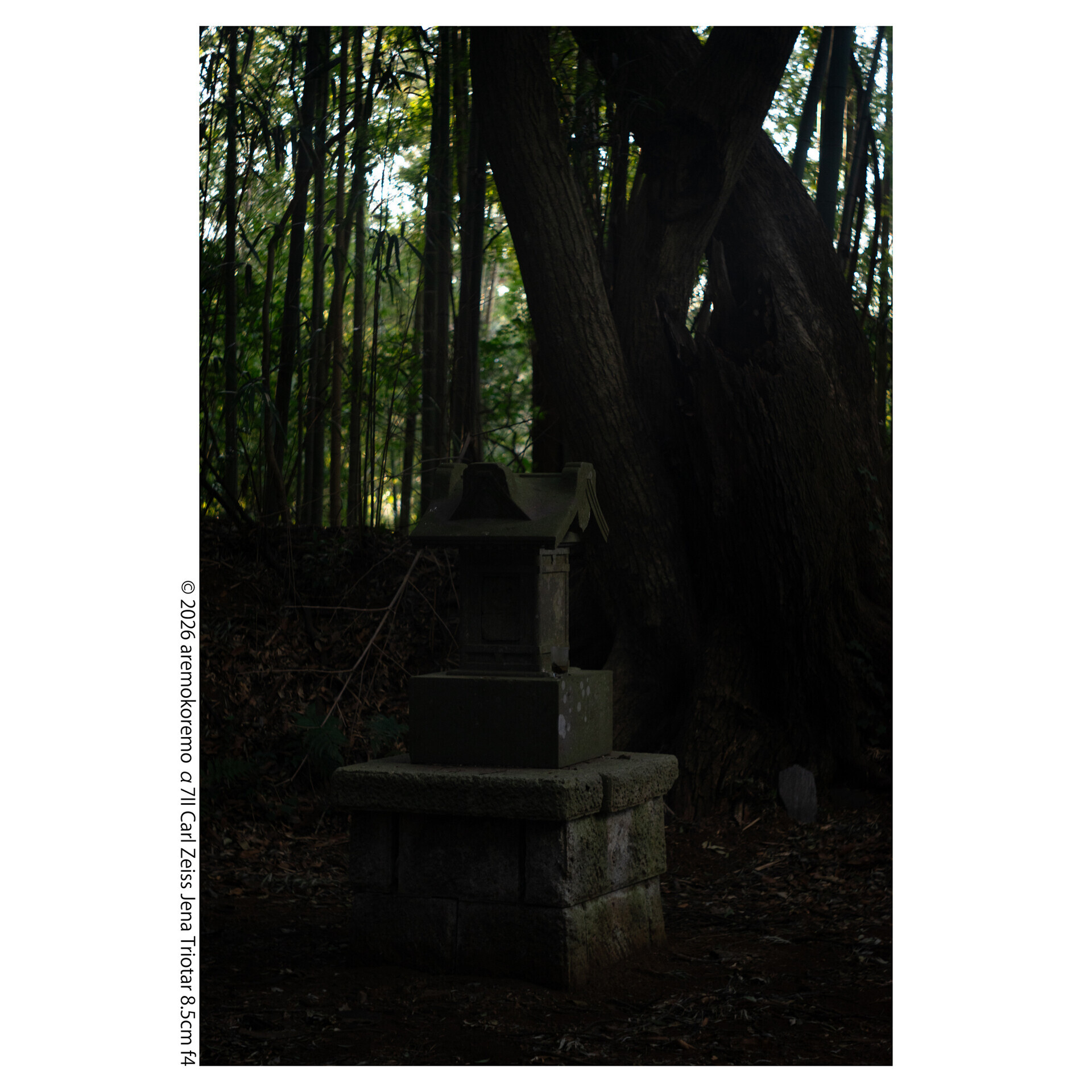 α7IIとCarl Zeiss Jena Triotar 8.5cm f4で印西市の神社を撮ってきた