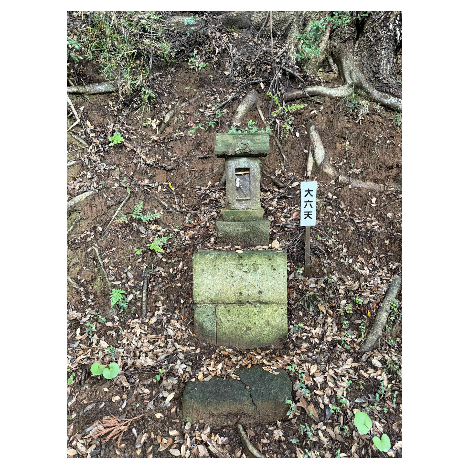 木更津市下烏田の熊野神社へ行ってきた - カメラが欲しい、レンズが