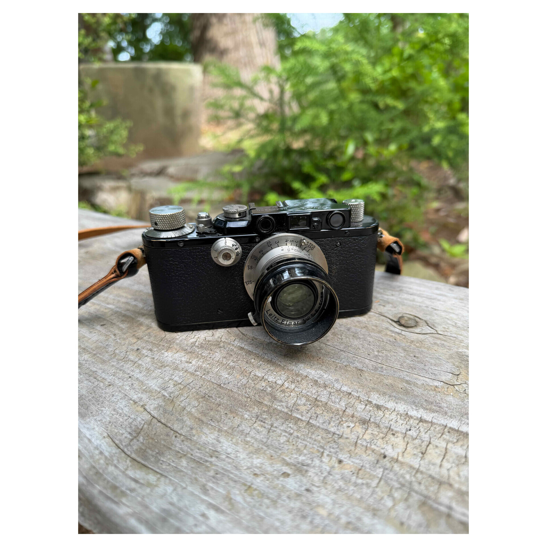 Leica DIIIとElmar 5cm f3.5とモノクロフィルムで撮ってきた - カメラ