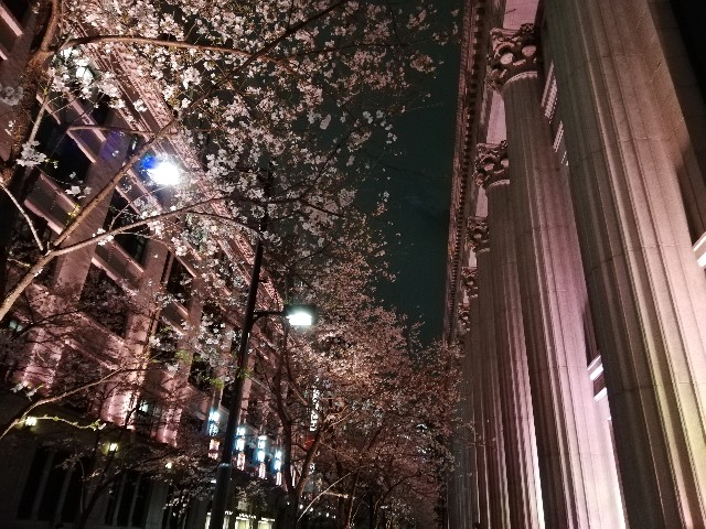 f:id:arenlove:20190330131054j:image f:id:arenlove:20190330131054j:image
