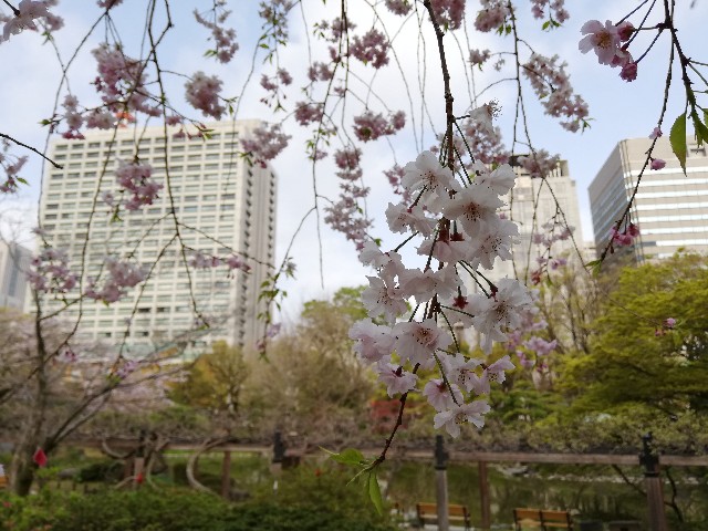 f:id:arenlove:20190408083709j:image f:id:arenlove:20190408083709j:image