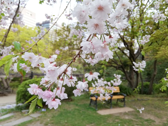 f:id:arenlove:20190408083725j:image f:id:arenlove:20190408083725j:image