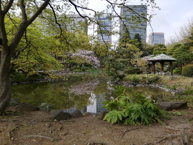 f:id:arenlove:20190408083743j:image f:id:arenlove:20190408083743j:image