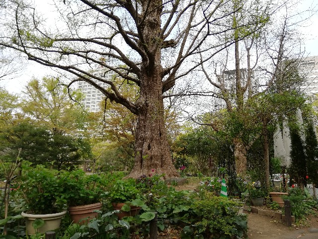 f:id:arenlove:20190408083819j:image f:id:arenlove:20190408083819j:image