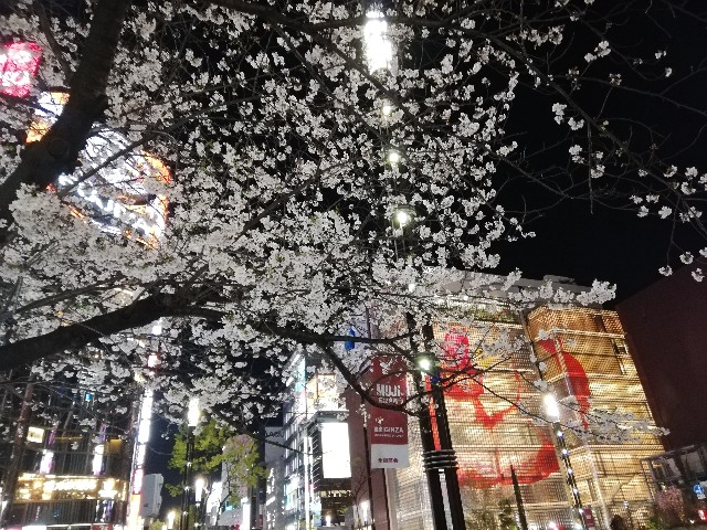 f:id:arenlove:20190408084023j:image f:id:arenlove:20190408084023j:image