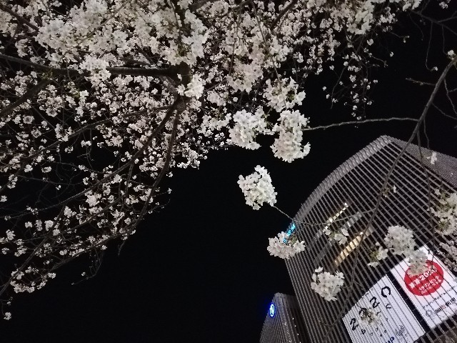 f:id:arenlove:20190408084116j:image f:id:arenlove:20190408084116j:image