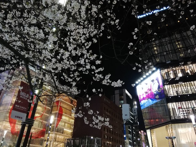 f:id:arenlove:20190408084140j:image f:id:arenlove:20190408084140j:image