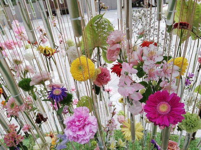 f:id:arenlove:20190516101027j:image f:id:arenlove:20190516101027j:image