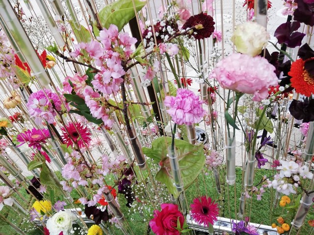 f:id:arenlove:20190516101139j:image f:id:arenlove:20190516101139j:image