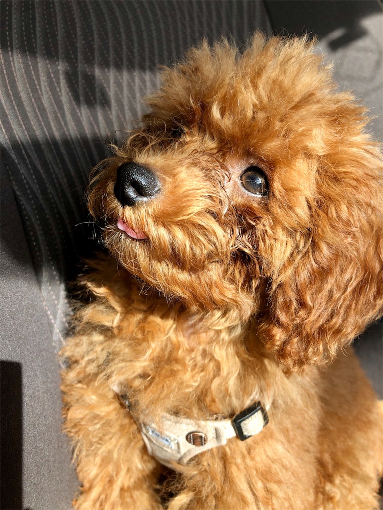 f:id:aresorekore:20191022224546j:image