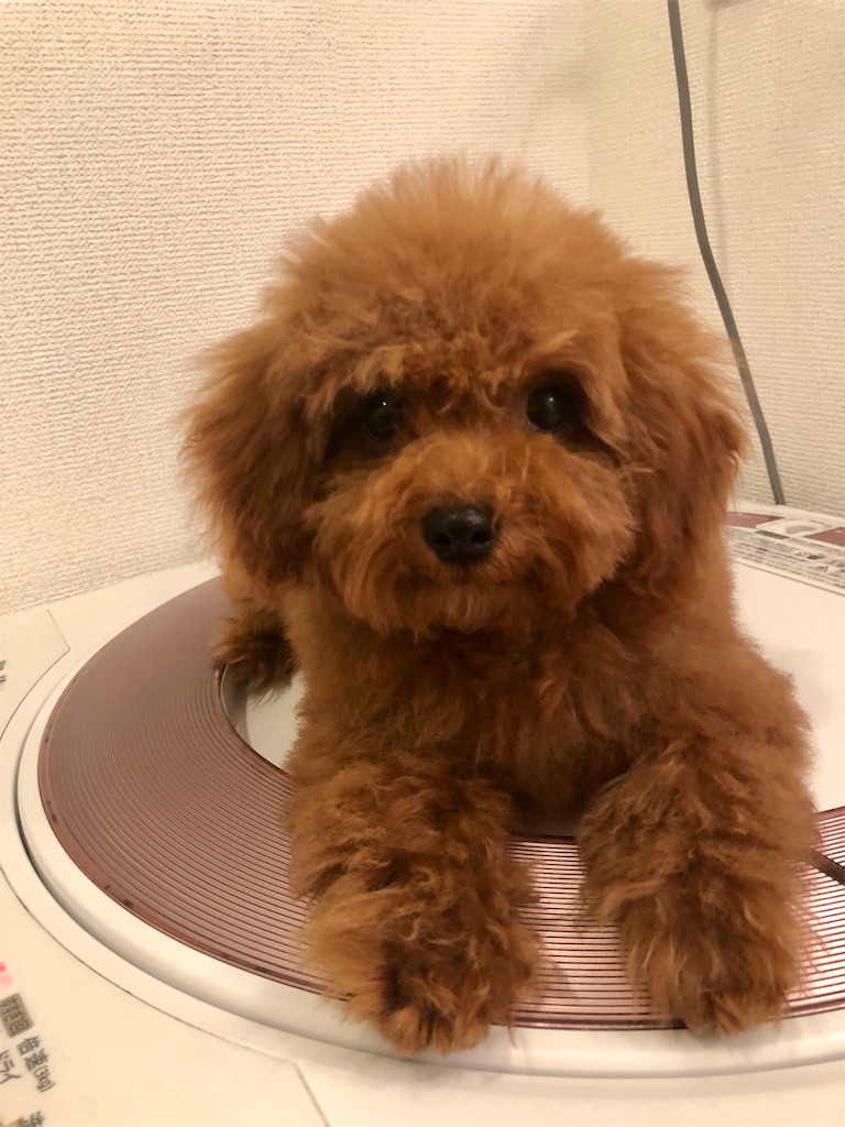 f:id:aresorekore:20191022224654j:image