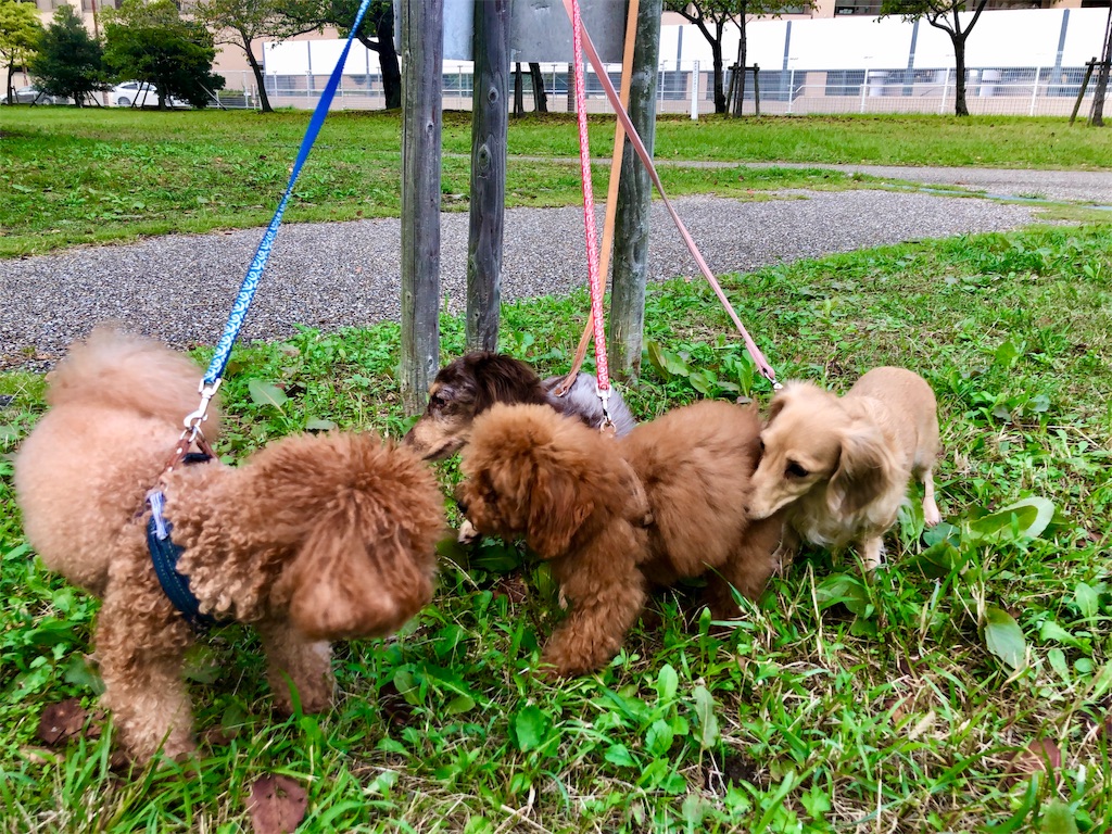 f:id:aresorekore:20191023153533j:image