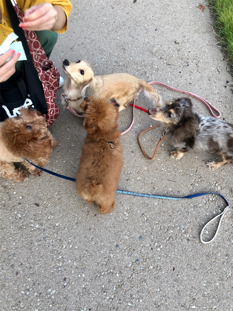 f:id:aresorekore:20191023153652j:image