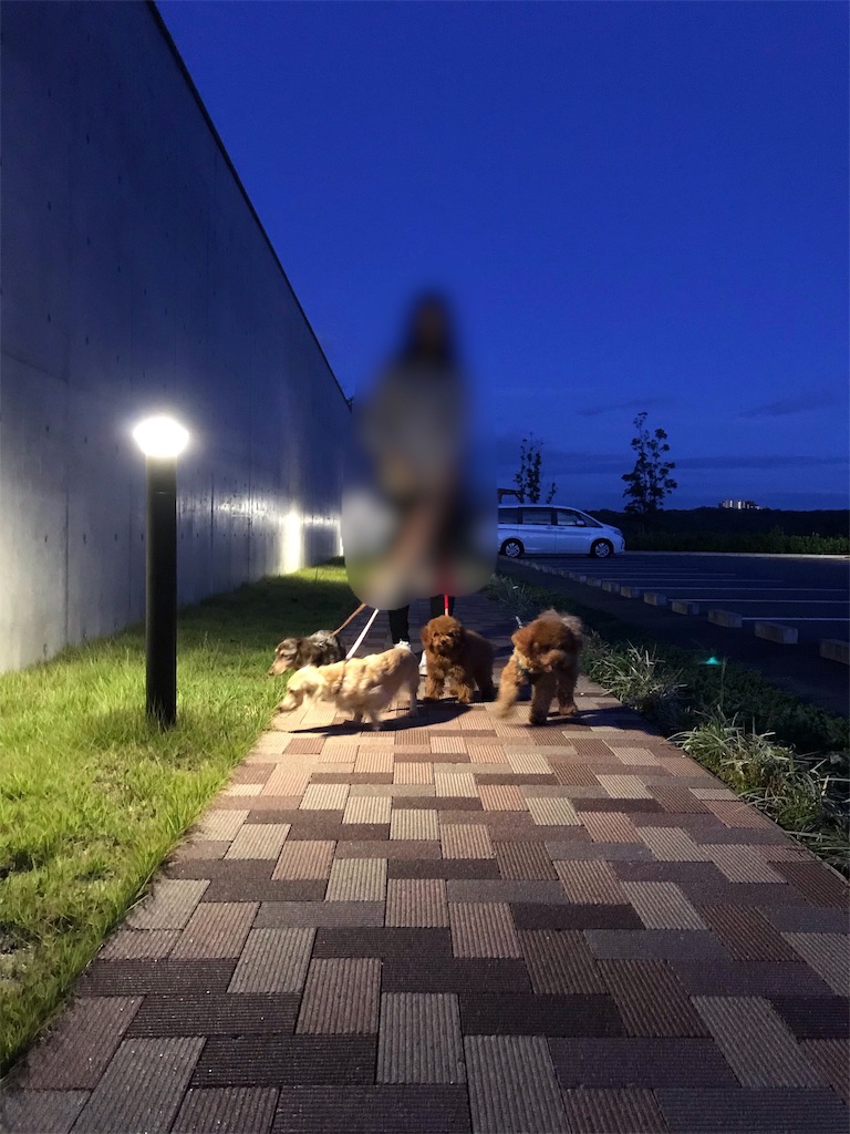 f:id:aresorekore:20191023154457j:image