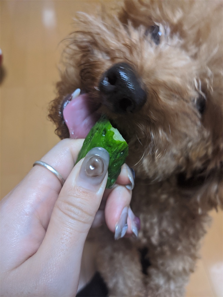 f:id:aresorekore:20191130143707j:image f:id:aresorekore:20191130143707j:image