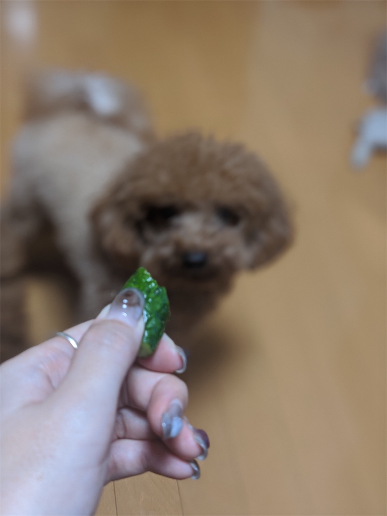 f:id:aresorekore:20191130143710j:image f:id:aresorekore:20191130143710j:image