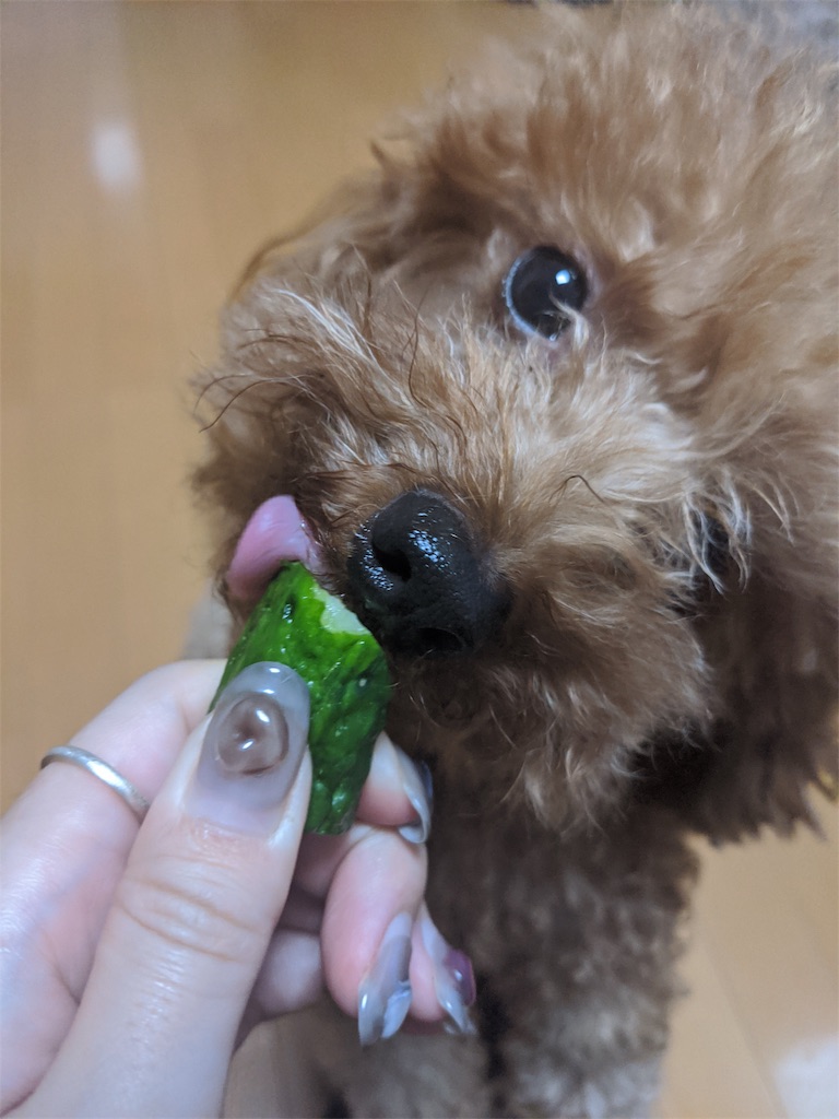 f:id:aresorekore:20191130143713j:image f:id:aresorekore:20191130143713j:image