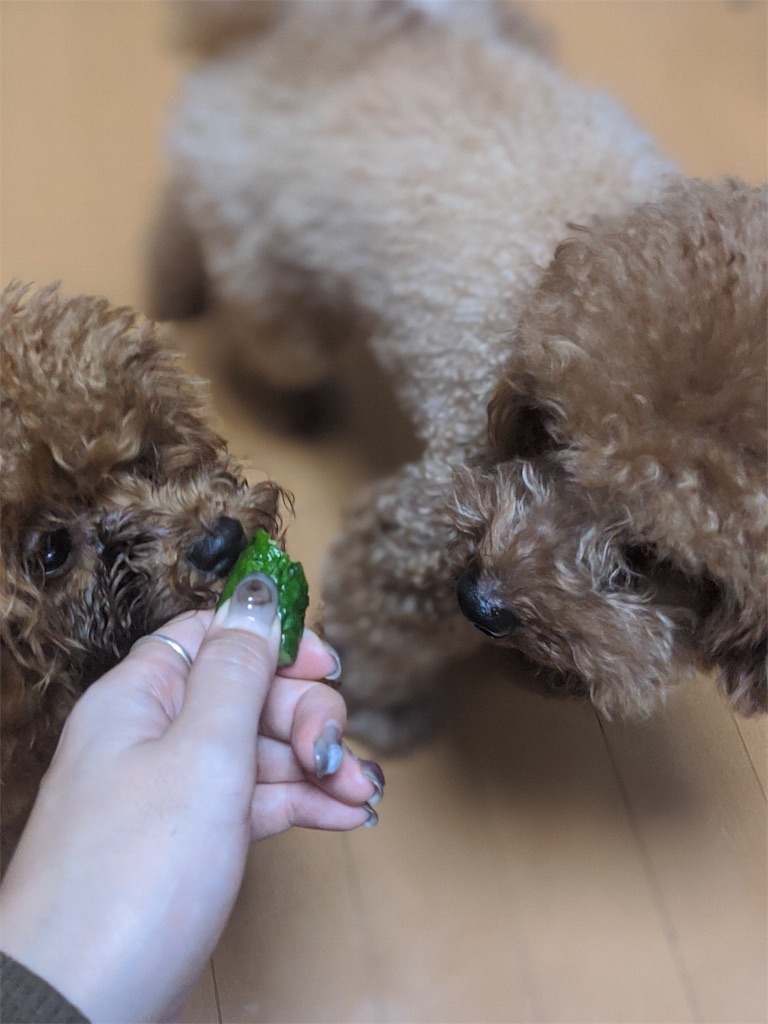 f:id:aresorekore:20191130143856j:image f:id:aresorekore:20191130143856j:image