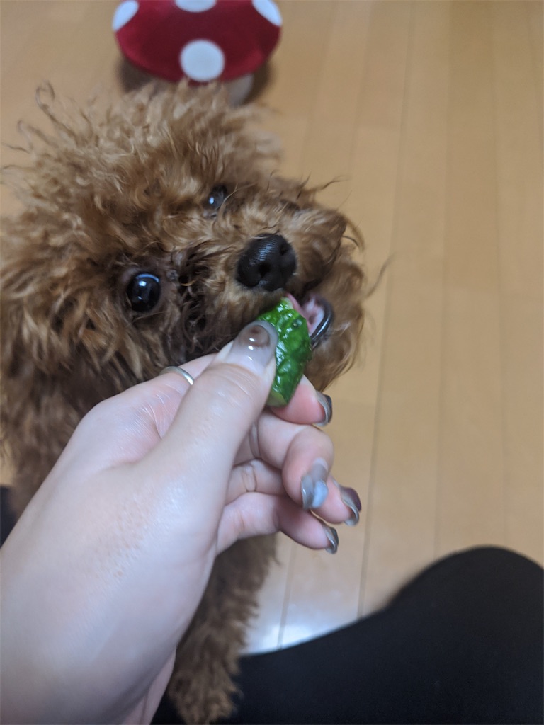 f:id:aresorekore:20191130143859j:image f:id:aresorekore:20191130143859j:image