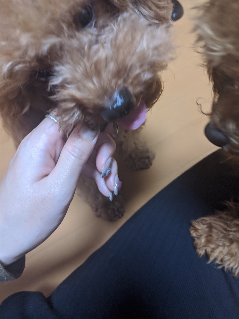 f:id:aresorekore:20191130143907j:image f:id:aresorekore:20191130143907j:image