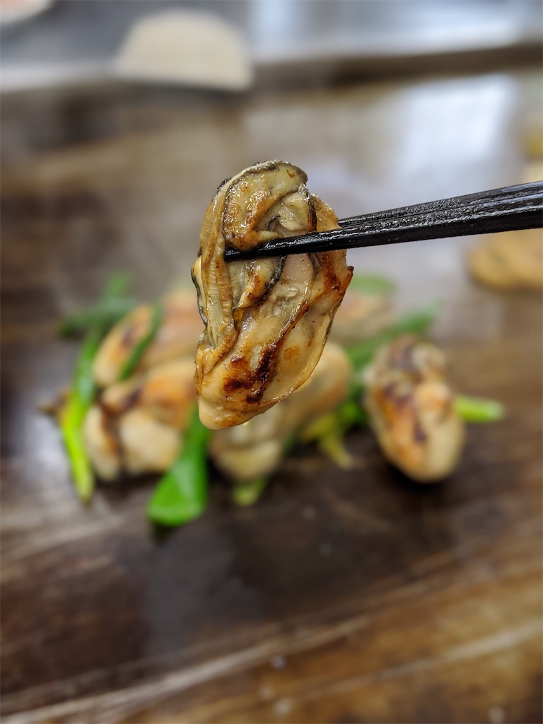 f:id:aresorekore:20191218160911j:image