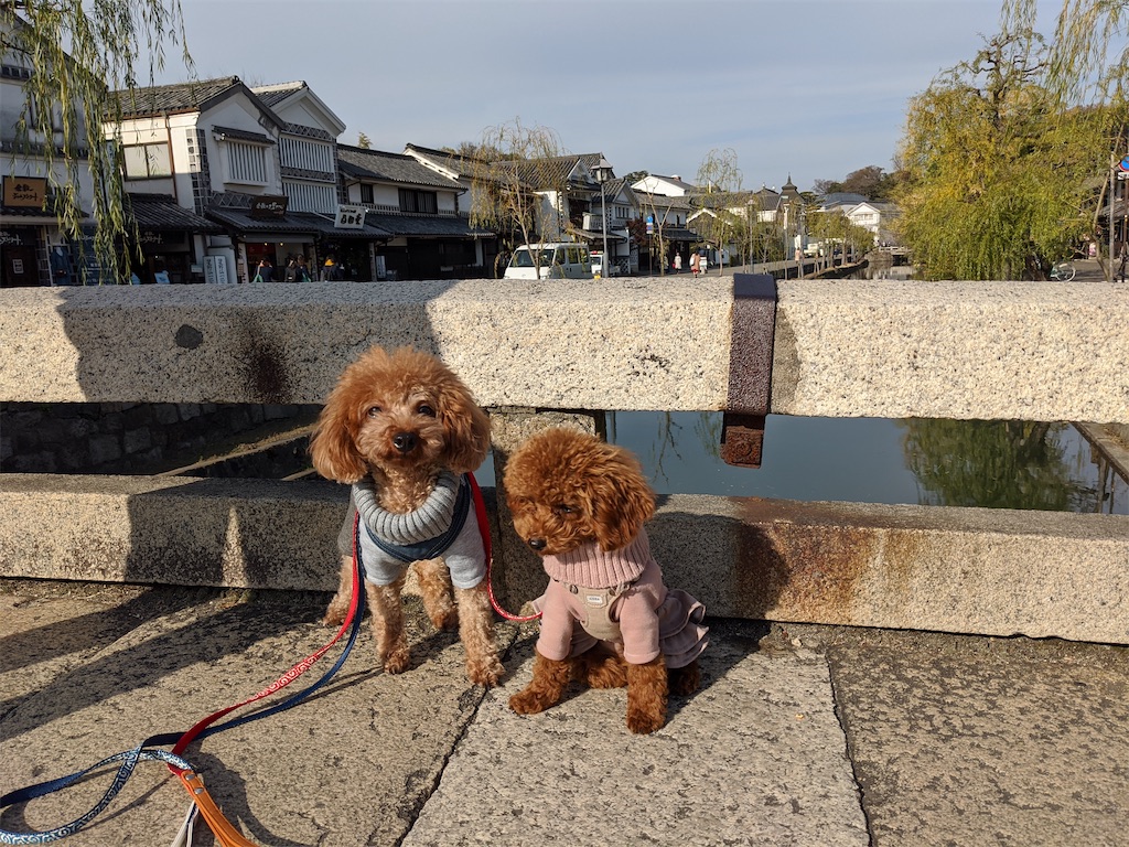 f:id:aresorekore:20191218160945j:image