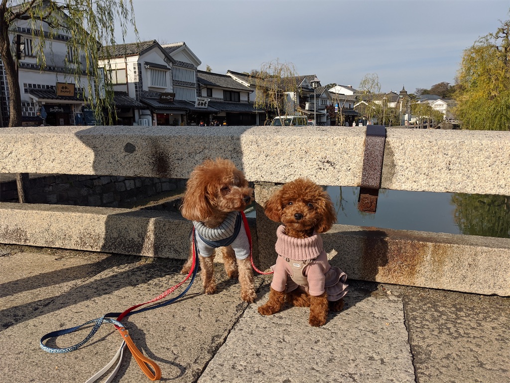 f:id:aresorekore:20191218160948j:image