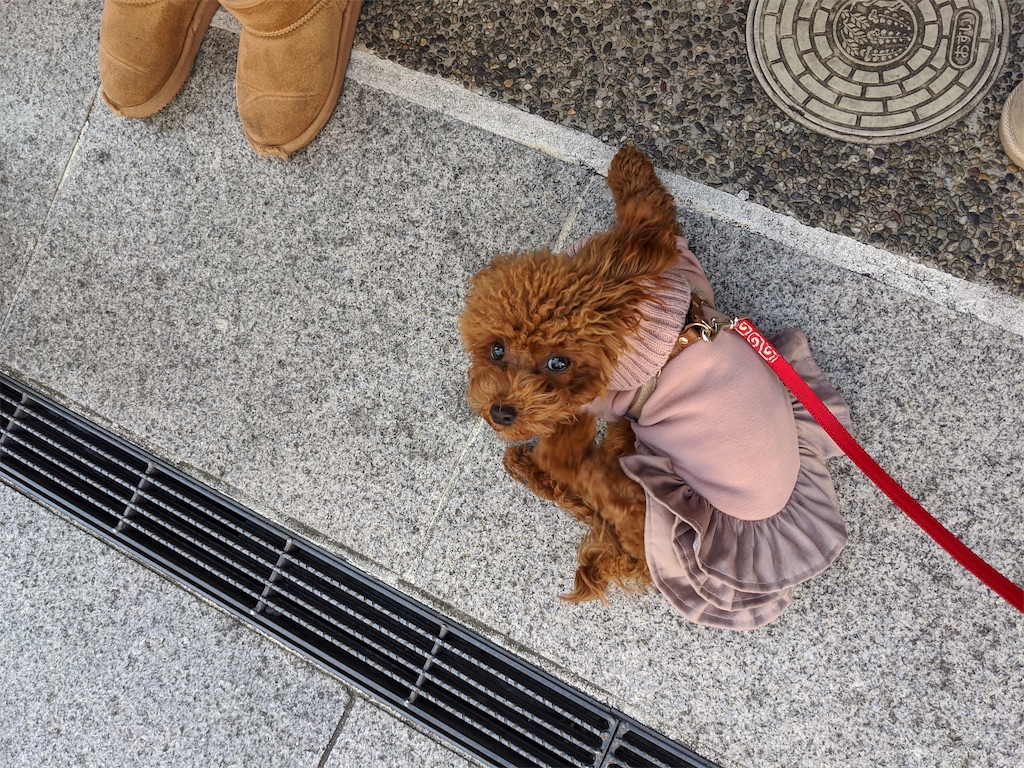 f:id:aresorekore:20191218161034j:image