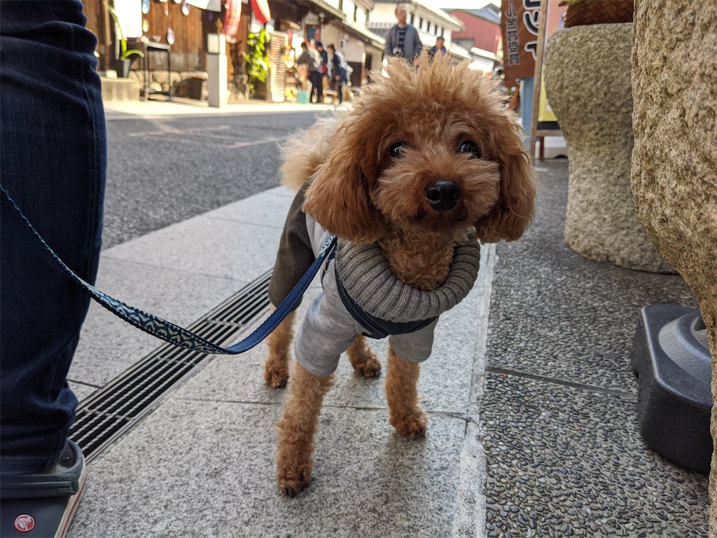 f:id:aresorekore:20191218161047j:image