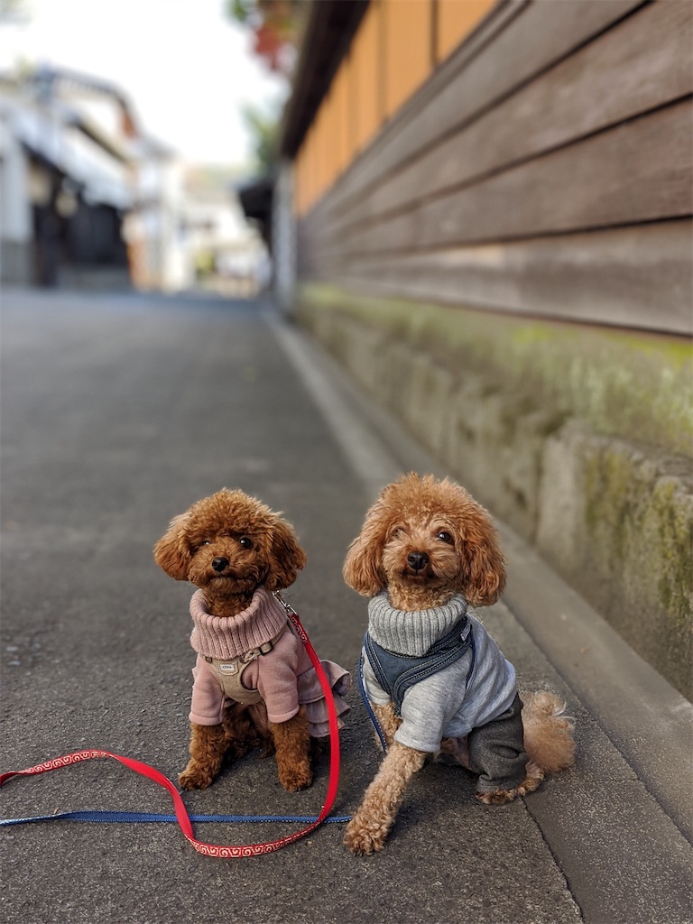 f:id:aresorekore:20191218161119j:image