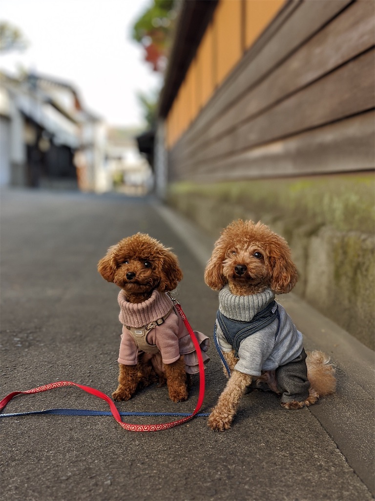 f:id:aresorekore:20191218161123j:image